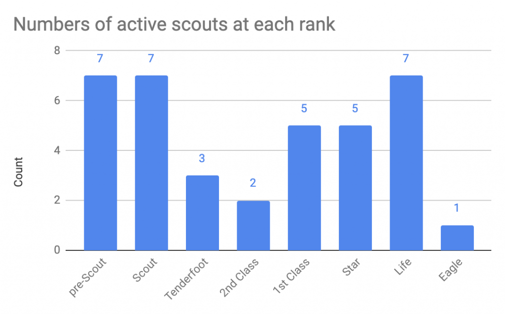 Numbers of active scouts by rank
